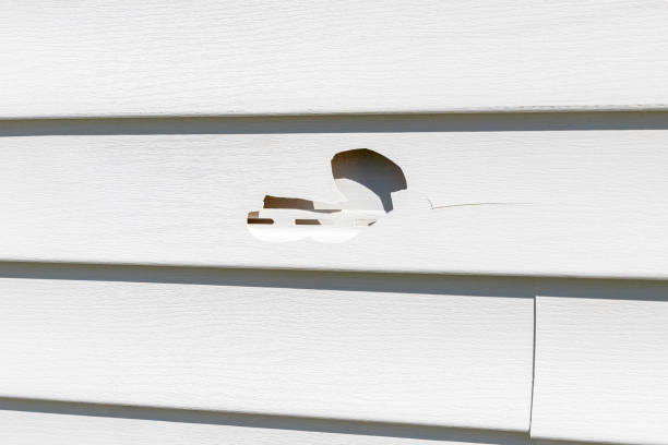 Moving and Downsizing Cleanouts in Dolan Springs, AZ