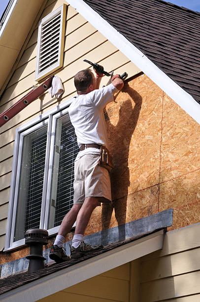 Best Carpet Removal and Disposal  in Dolan Springs, AZ